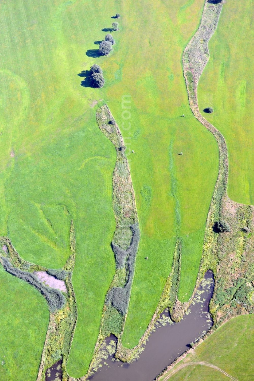 Aerial image Wittenberg - View of flooded meadow of the Elbe in Lutherstadt Wittenberg in Saxony-Anhalt