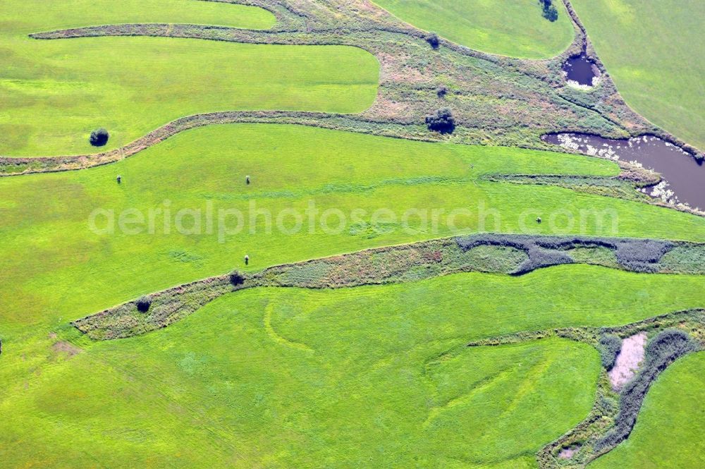 Wittenberg from the bird's eye view: View of flooded meadow of the Elbe in Lutherstadt Wittenberg in Saxony-Anhalt