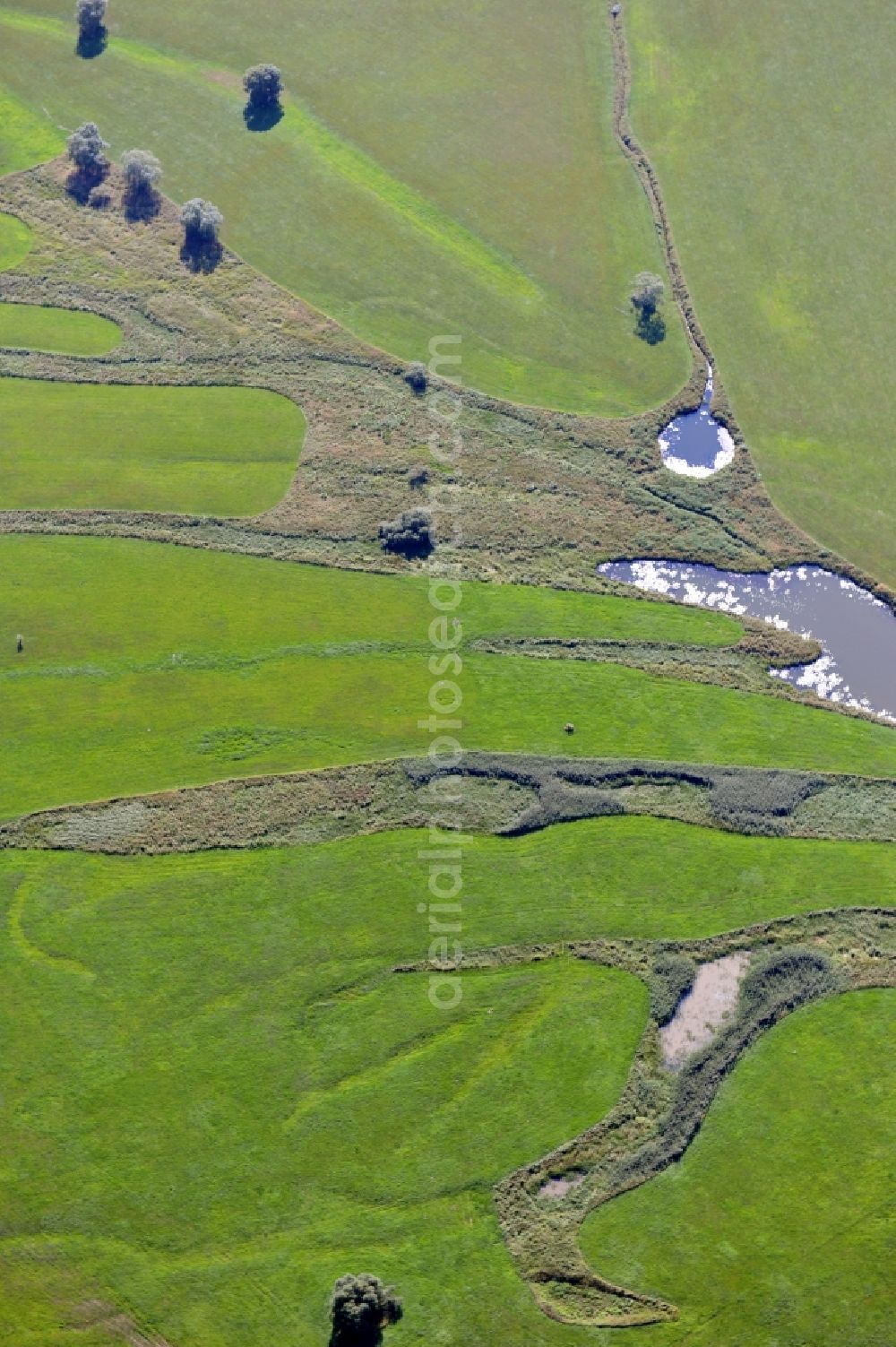 Aerial image Wittenberg - View of flooded meadow of the Elbe in Lutherstadt Wittenberg in Saxony-Anhalt