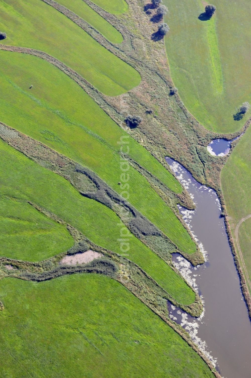 Aerial photograph Wittenberg - View of flooded meadow of the Elbe in Lutherstadt Wittenberg in Saxony-Anhalt