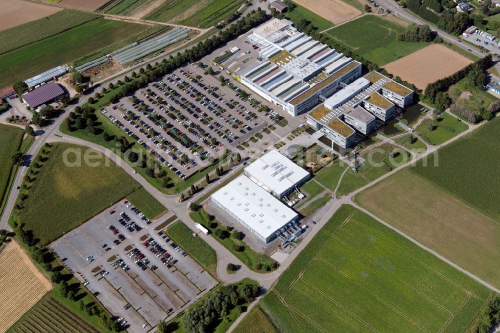 Untergruppenbach from the bird's eye view: Research building and office complex of Magna PT B.V. & Co. KG at the Hermann-Hagenmeyer-Strasse in Untergruppenbach in the state Baden-Wurttemberg, Germany