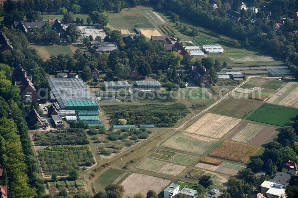 Aerial photograph Berlin - Research facility of the Humboldt-Universitys greenhouse for researching of new technologys and cultivation methods in the Lentzallee in Berlin