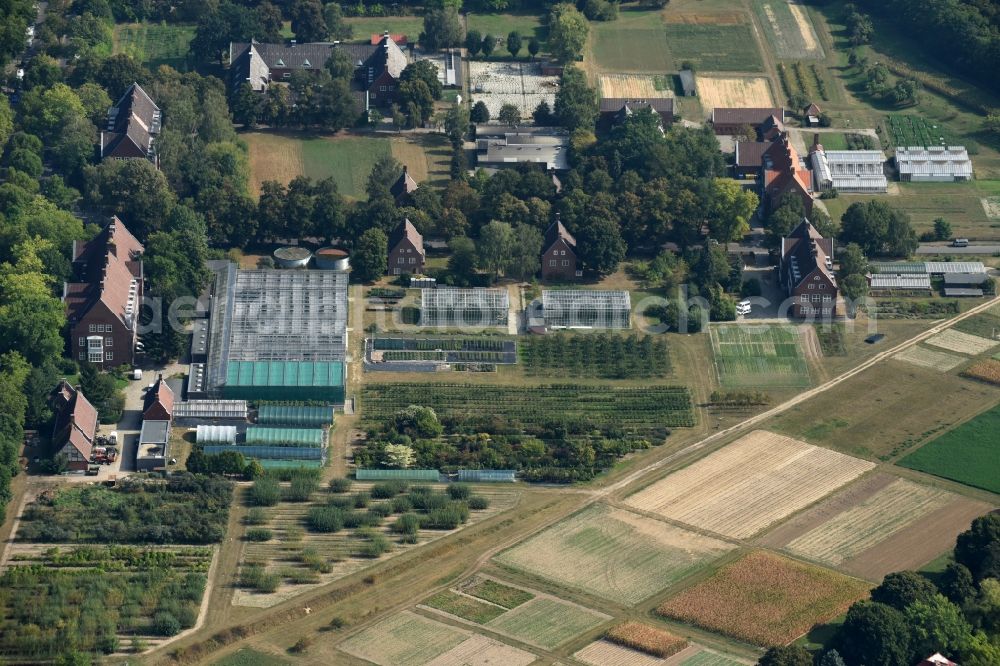 Aerial image Berlin - Research facility of the Humboldt-Universitys greenhouse for researching of new technologys and cultivation methods in the Lentzallee in Berlin