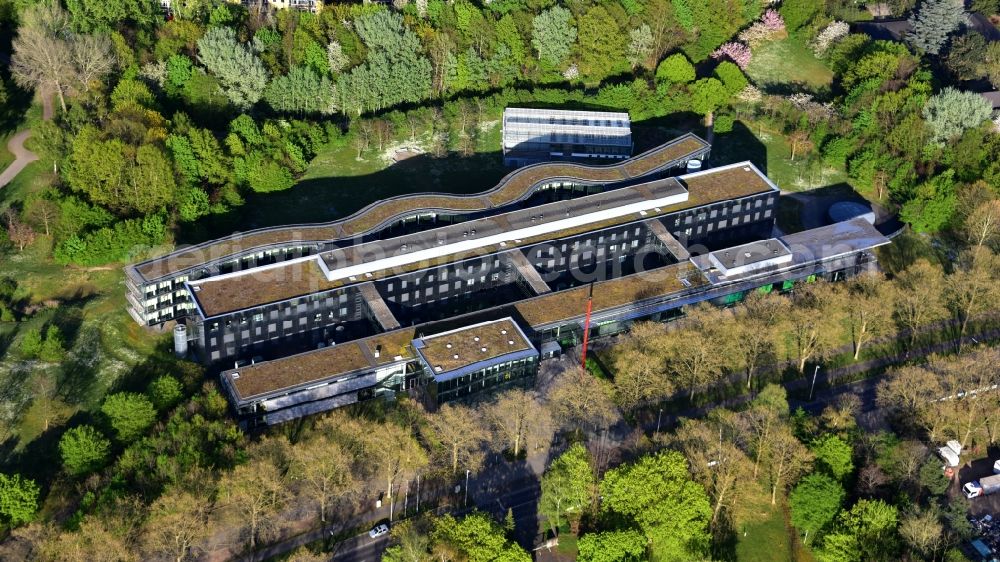 Bonn from the bird's eye view: Caesar Research Center in Bonn in the state North Rhine-Westphalia, Germany