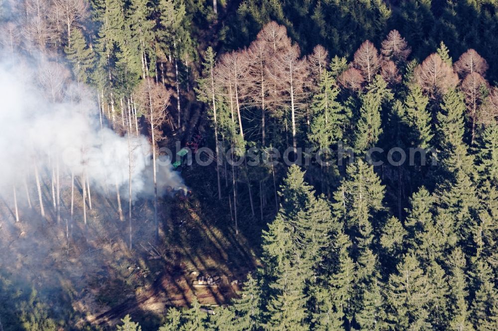 Aerial photograph Berg - Smoke clouds in a wooded area near Berg in the state Bavaria, Germany