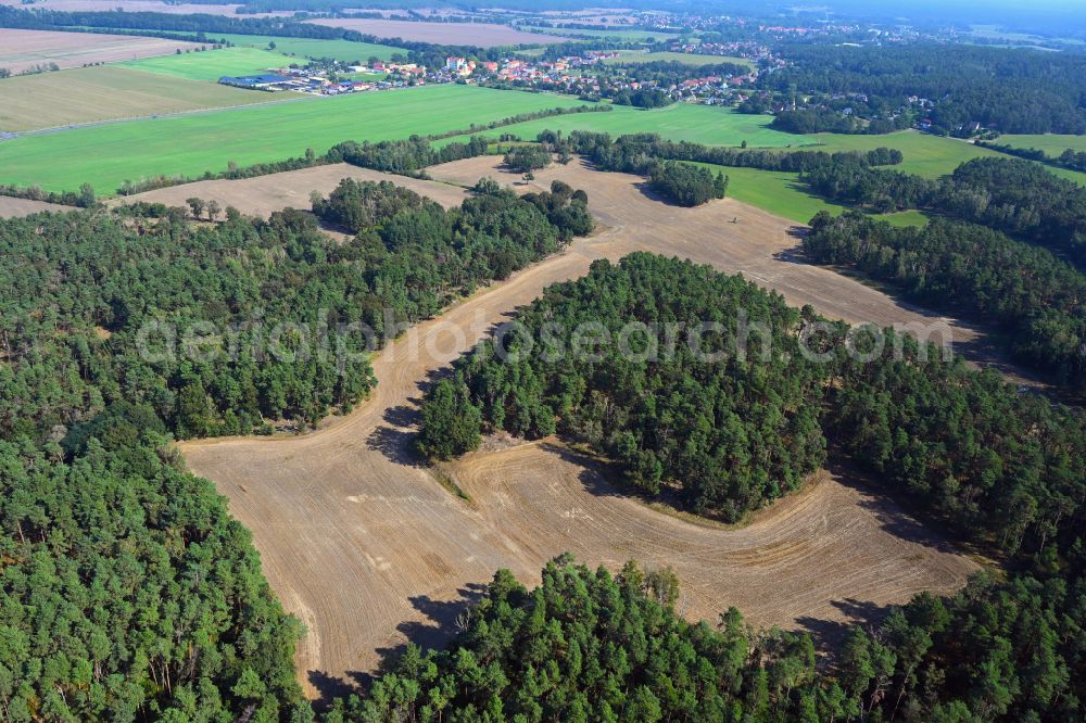 Großkmehlen from the bird's eye view: Forest areas in with harvested grain fields in Grosskmehlen in the state Brandenburg, Germany