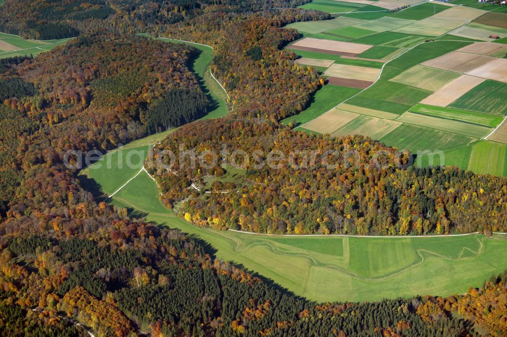 Aerial image Asselfingen - Forest areas in in Asselfingen in the state Baden-Wuerttemberg, Germany