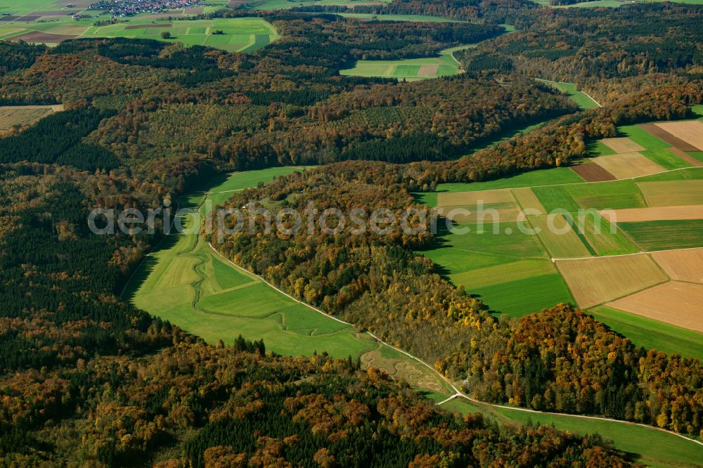 Aerial photograph Asselfingen - Forest areas in in Asselfingen in the state Baden-Wuerttemberg, Germany