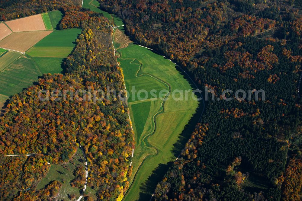 Asselfingen from above - Forest areas in in Asselfingen in the state Baden-Wuerttemberg, Germany