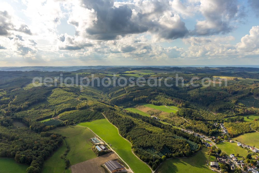 Aerial image Balve - Forest areas in in Balve in the state North Rhine-Westphalia, Germany