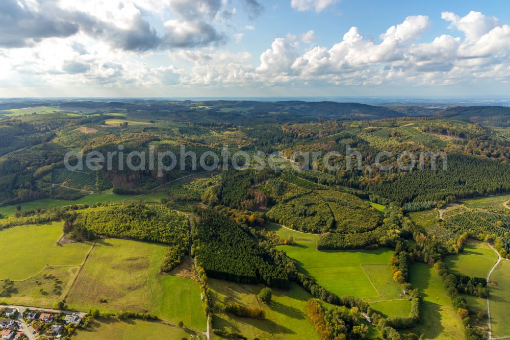 Balve from above - Forest areas in in Balve in the state North Rhine-Westphalia, Germany