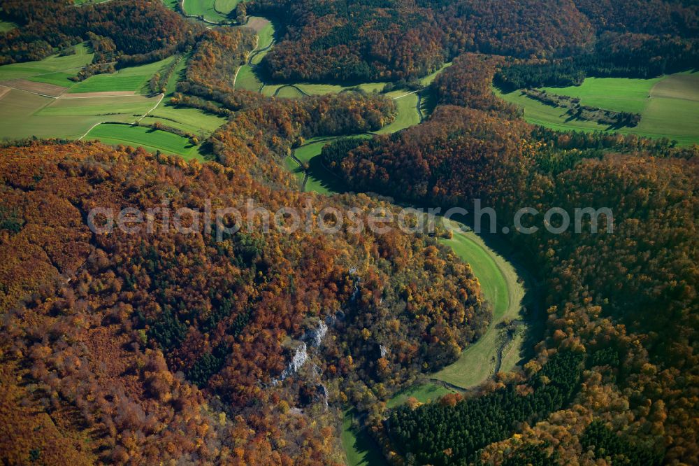 Aerial photograph Ehingen (Donau) - Forest areas in in Ehingen (Donau) in the state Baden-Wuerttemberg, Germany