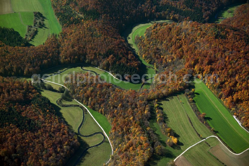 Ehingen (Donau) from above - Forest areas in in Ehingen (Donau) in the state Baden-Wuerttemberg, Germany