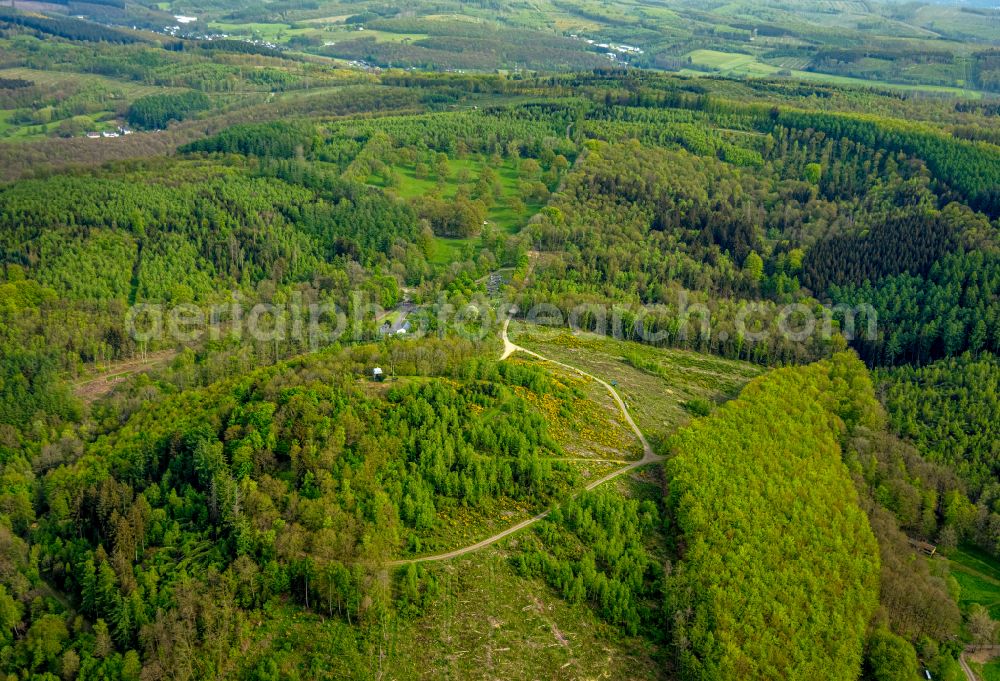 Aerial photograph Eisern - Forest areas in in Eisern at Siegerland in the state North Rhine-Westphalia, Germany