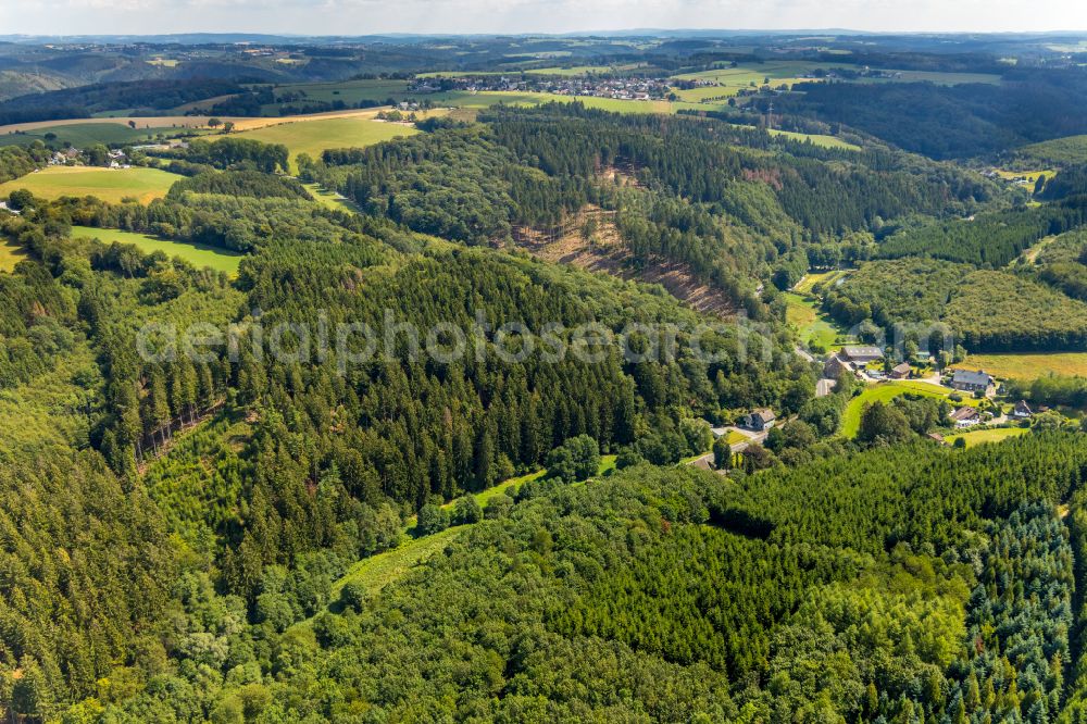 Ennepetal from the bird's eye view: Forest areas in in Ennepetal in the state North Rhine-Westphalia, Germany