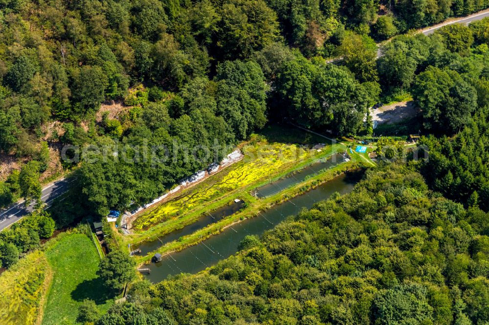 Aerial photograph Ennepetal - Forest areas in in Ennepetal in the state North Rhine-Westphalia, Germany
