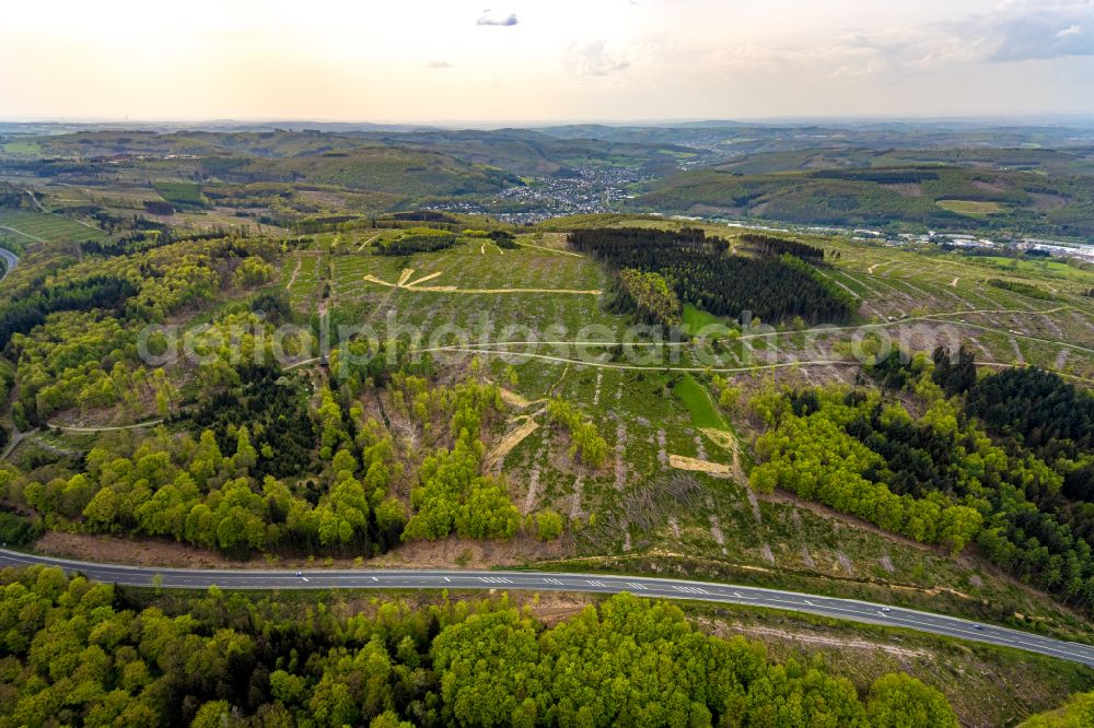Burbach from the bird's eye view: Forestry areas in a forest area Grosser Stein on the road B54 in Burbach in the federal state of North Rhine-Westphalia, Germany