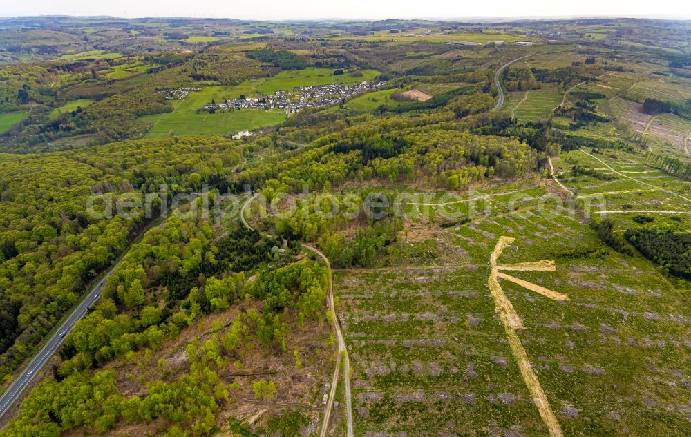 Aerial image Burbach - Forestry areas in a forest area Grosser Stein on the road B54 in Burbach in the federal state of North Rhine-Westphalia, Germany