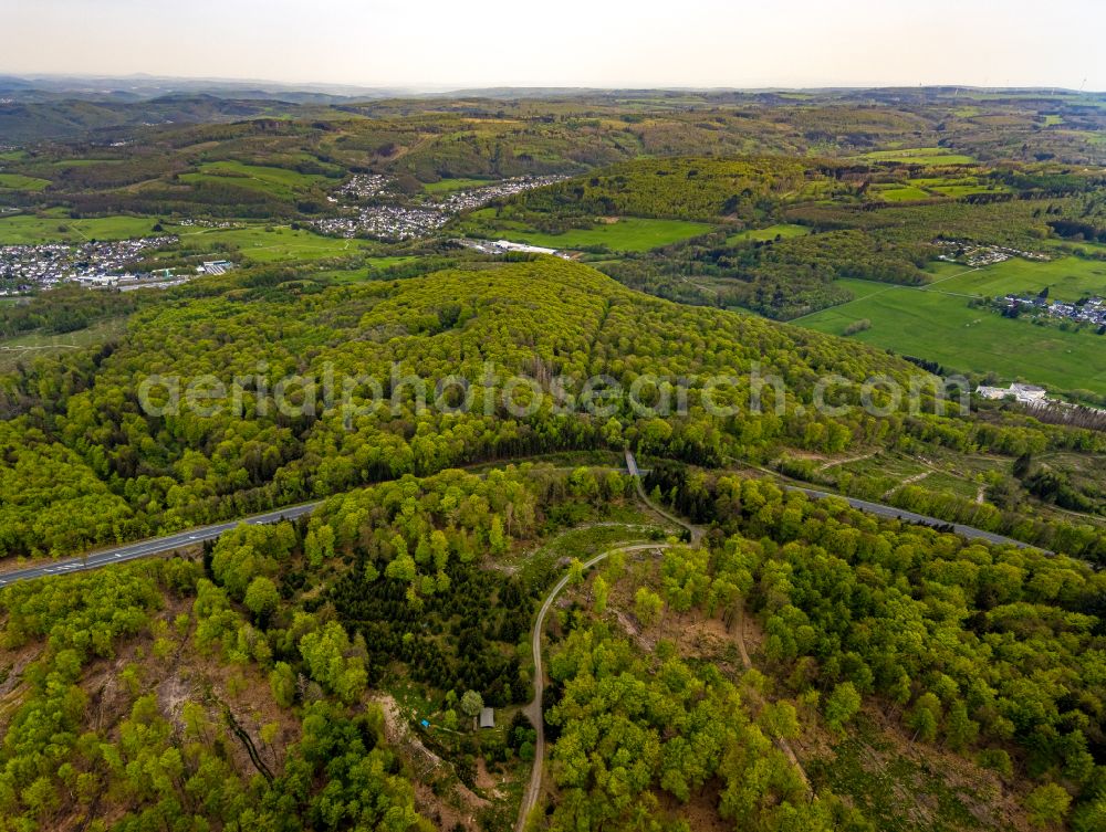 Aerial photograph Burbach - Forestry areas in a forest area Grosser Stein on the road B54 in Burbach in the federal state of North Rhine-Westphalia, Germany