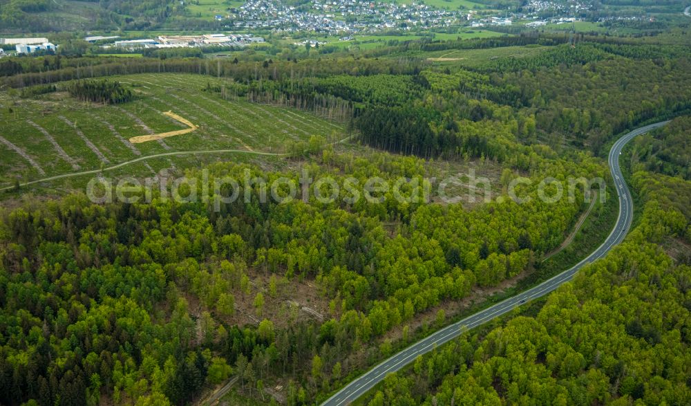 Burbach from the bird's eye view: Forestry areas in a forest area Grosser Stein on the road B54 in Burbach in the federal state of North Rhine-Westphalia, Germany