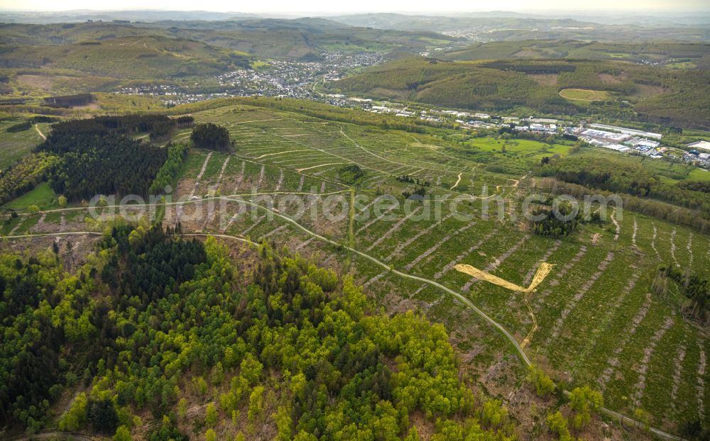 Aerial photograph Burbach - Forestry areas in a forest area Grosser Stein on the road B54 in Burbach in the federal state of North Rhine-Westphalia, Germany