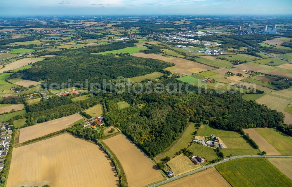 Aerial image Hamm - Forest areas in the woodland of Geithewald and Wilshauser Holz in Hamm in the state of North Rhine-Westphalia, Germany