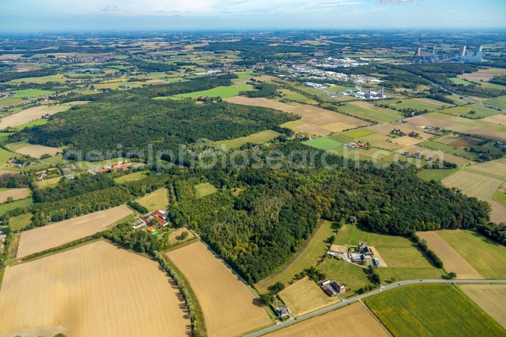 Aerial photograph Hamm - Forest areas in the woodland of Geithewald and Wilshauser Holz in Hamm in the state of North Rhine-Westphalia, Germany