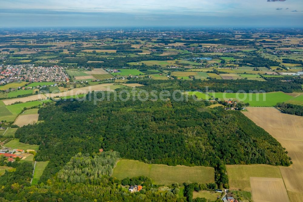 Aerial image Hamm - Forest areas in the woodland of Geithewald and Wilshauser Holz in Hamm in the state of North Rhine-Westphalia, Germany