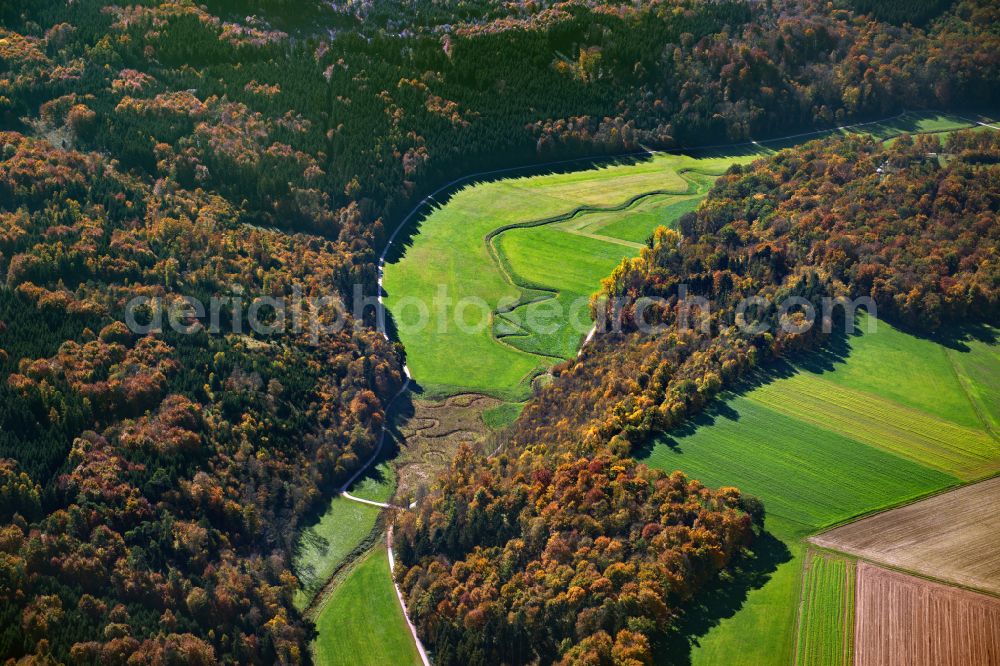 Herbrechtingen from above - Forest areas in in Herbrechtingen in the state Baden-Wuerttemberg, Germany