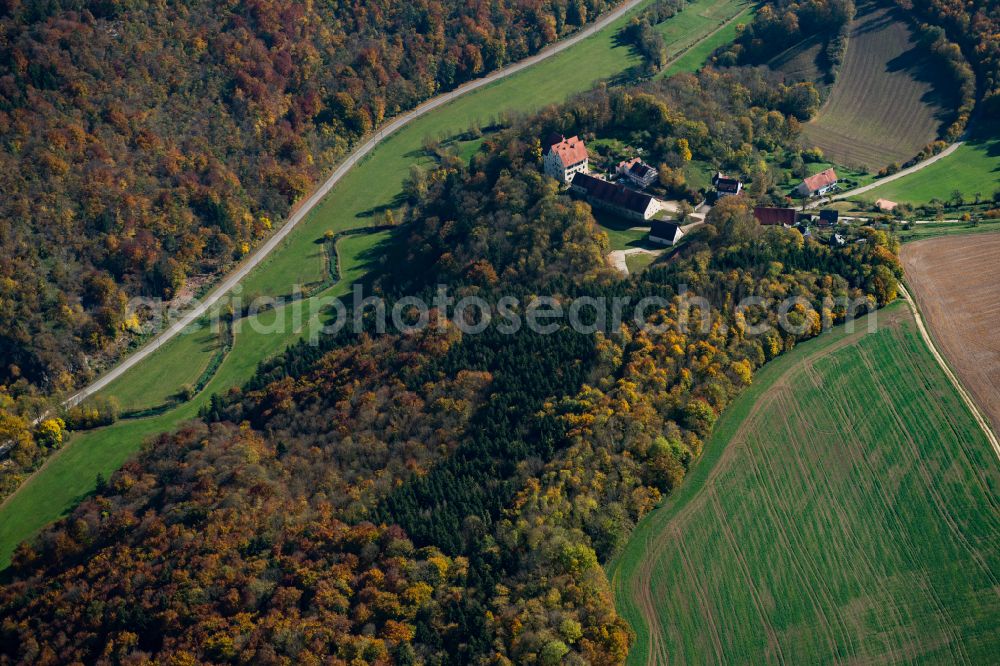 Herrlingen from above - Forest areas in in Herrlingen in the state Baden-Wuerttemberg, Germany