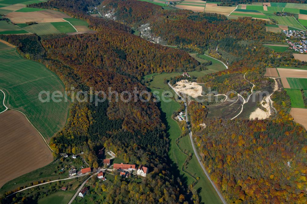 Herrlingen from the bird's eye view: Forest areas in in Herrlingen in the state Baden-Wuerttemberg, Germany