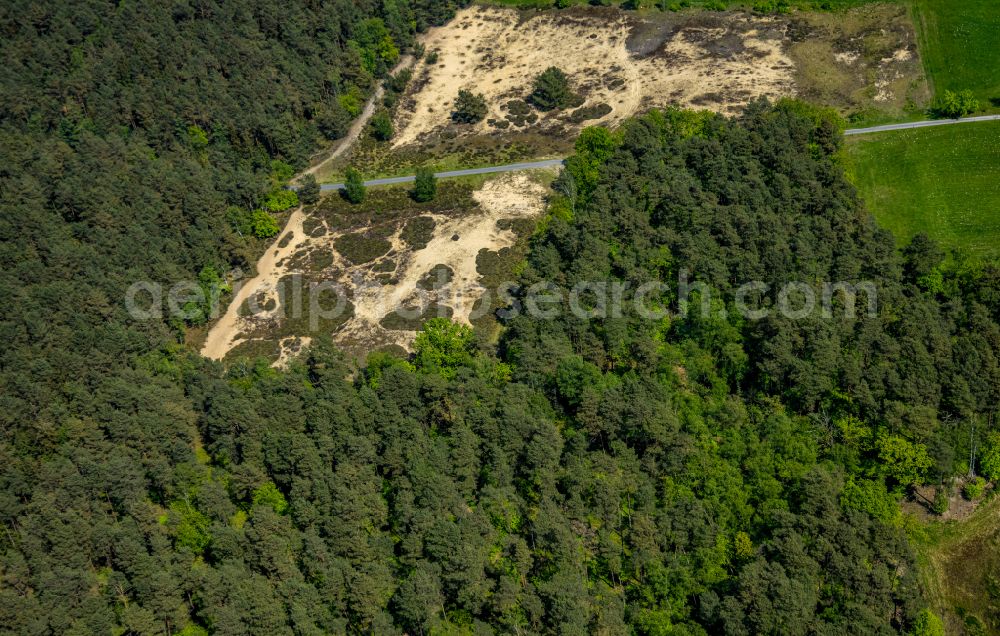 Hövelhof from above - Forest areas in in Hövelhof in the state North Rhine-Westphalia, Germany