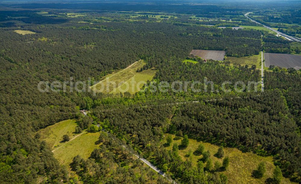 Hövelhof from the bird's eye view: Forest areas in in Hövelhof in the state North Rhine-Westphalia, Germany