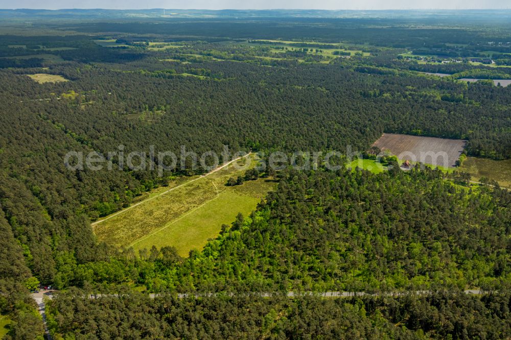 Aerial photograph Hövelhof - Forest areas in in Hövelhof in the state North Rhine-Westphalia, Germany