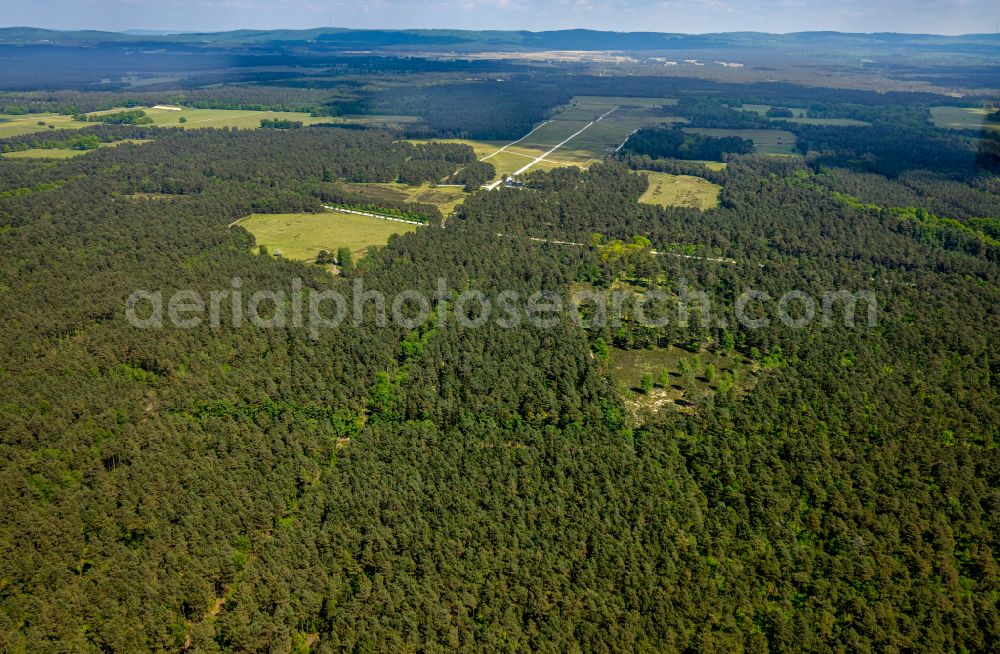 Hövelhof from above - Forest areas in in Hövelhof in the state North Rhine-Westphalia, Germany