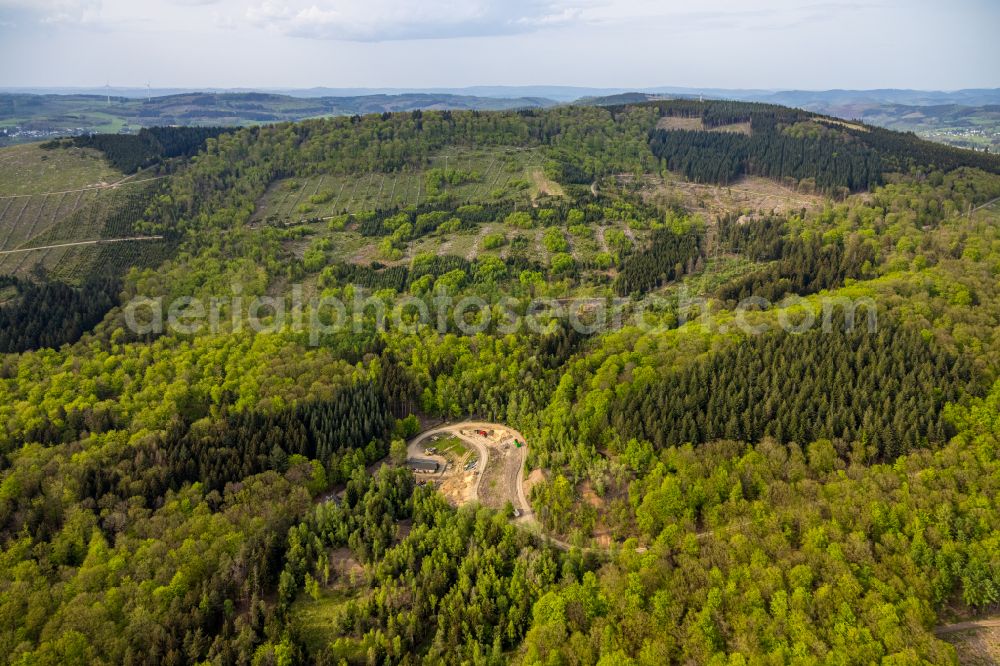 Littfeld from above - Forest areas in on Kindelsberg in Littfeld at Siegerland in the state North Rhine-Westphalia, Germany