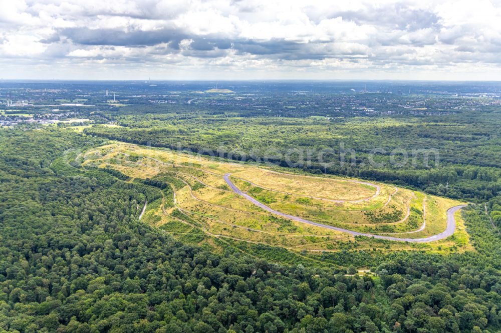 Aerial photograph Kirchhellen - Forest areas in in Kirchhellen at Ruhrgebiet in the state North Rhine-Westphalia, Germany