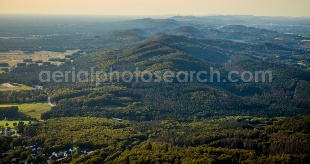 Lage from the bird's eye view: Forest areas in in Lage in the state North Rhine-Westphalia, Germany