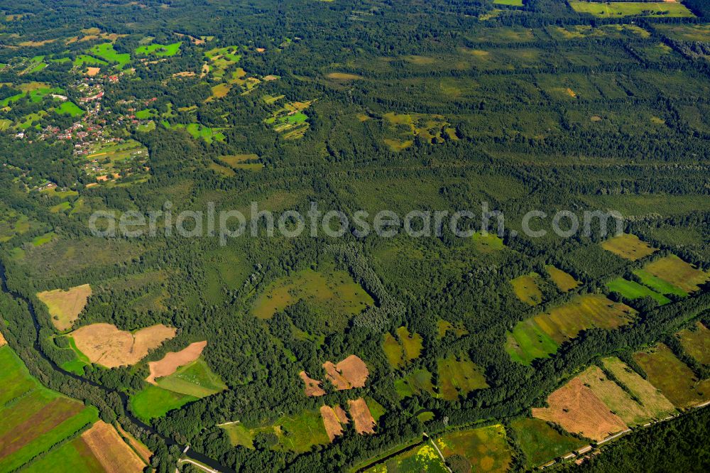 Lehde from the bird's eye view: Forest areas in in Lehde at Spreewald in the state Brandenburg, Germany