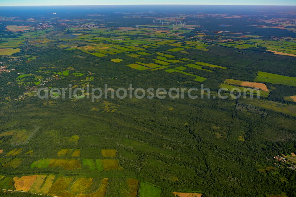 Aerial image Lehde - Forest areas in in Lehde at Spreewald in the state Brandenburg, Germany