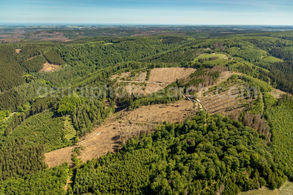 Meschede from the bird's eye view: Forest areas in in Meschede at Sauerland in the state North Rhine-Westphalia, Germany