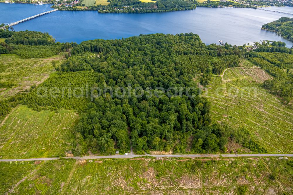 Möhnesee from the bird's eye view: Forest areas in in Möhnesee at Sauerland in the state North Rhine-Westphalia, Germany