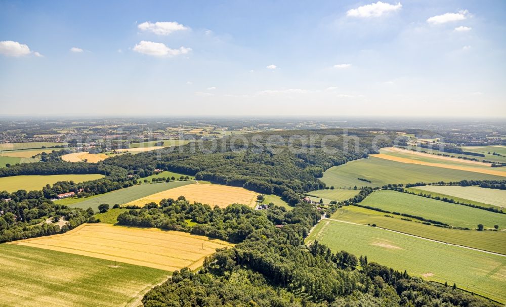 Aerial image Nottuln - Forest areas in in Nottuln in the state North Rhine-Westphalia, Germany