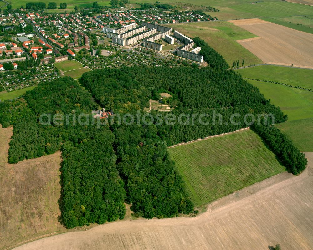 Großenhain from the bird's eye view: Forest areas in in the district Kupferberg in Grossenhain in the state Saxony, Germany