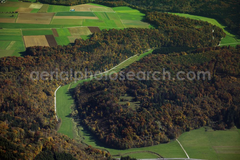 Rammingen from above - Forest areas in in Rammingen in the state Baden-Wuerttemberg, Germany