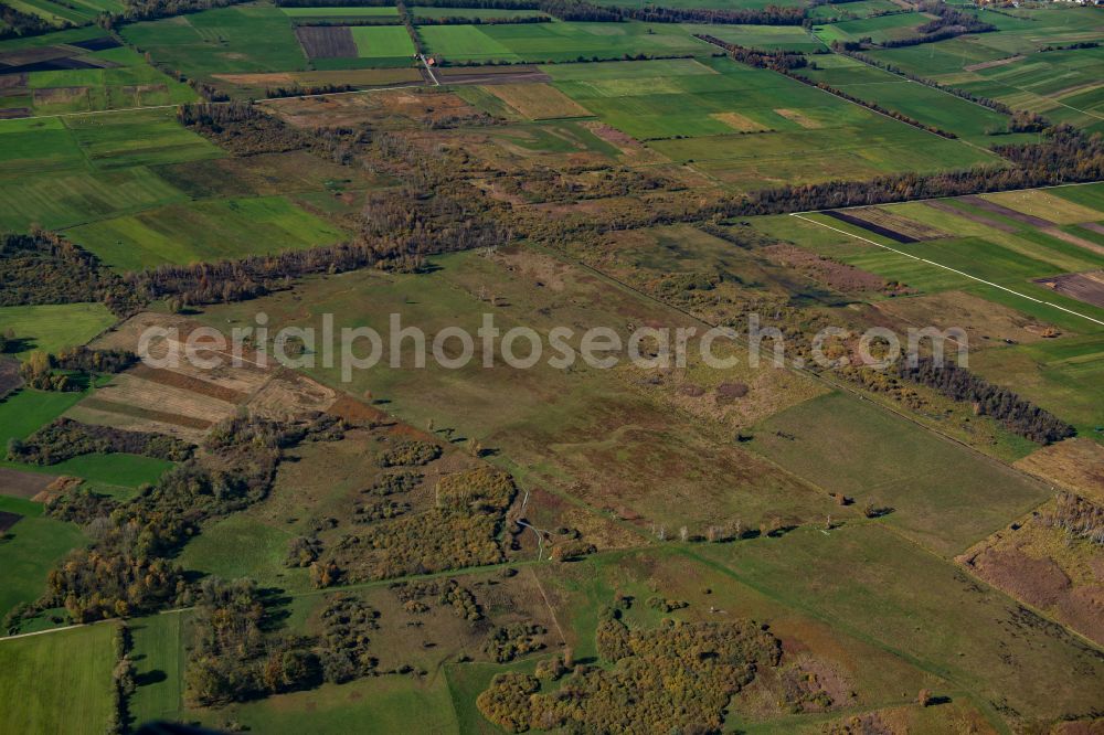 Riedheim from the bird's eye view: Forest areas in in Riedheim in the state Bavaria, Germany