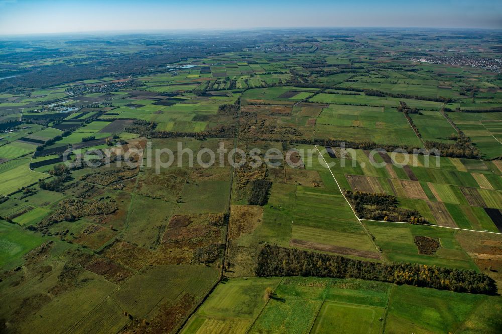 Aerial image Riedheim - Forest areas in in Riedheim in the state Bavaria, Germany