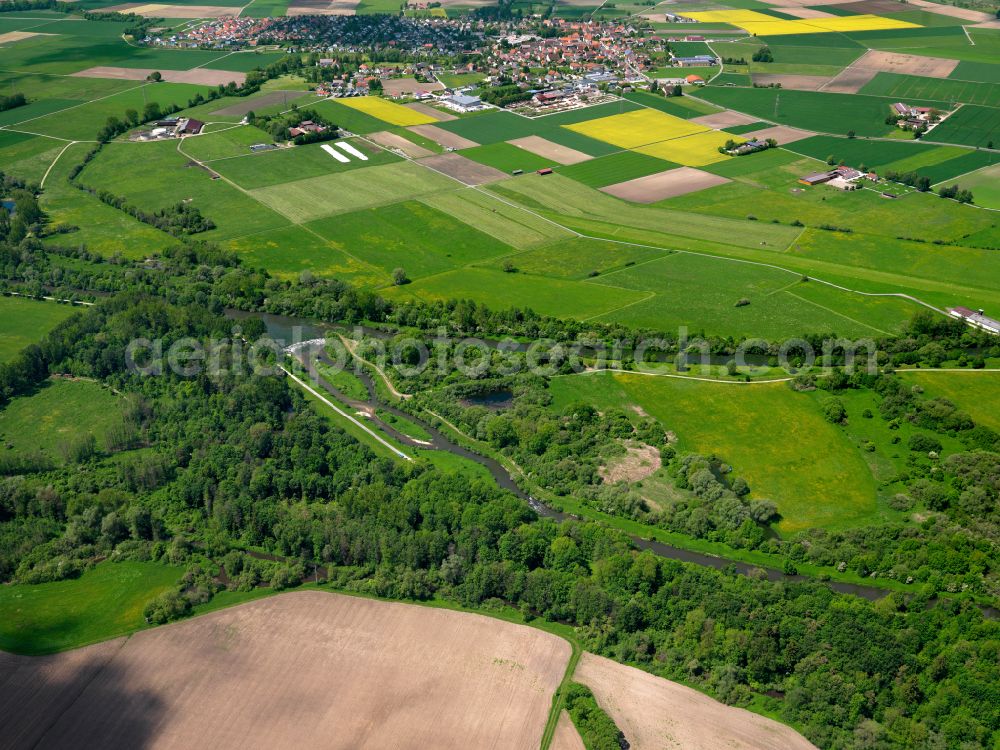 Aerial photograph Riedlingen - Forest areas in in Riedlingen in the state Baden-Wuerttemberg, Germany