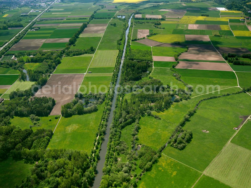 Riedlingen from the bird's eye view: Forest areas in in Riedlingen in the state Baden-Wuerttemberg, Germany