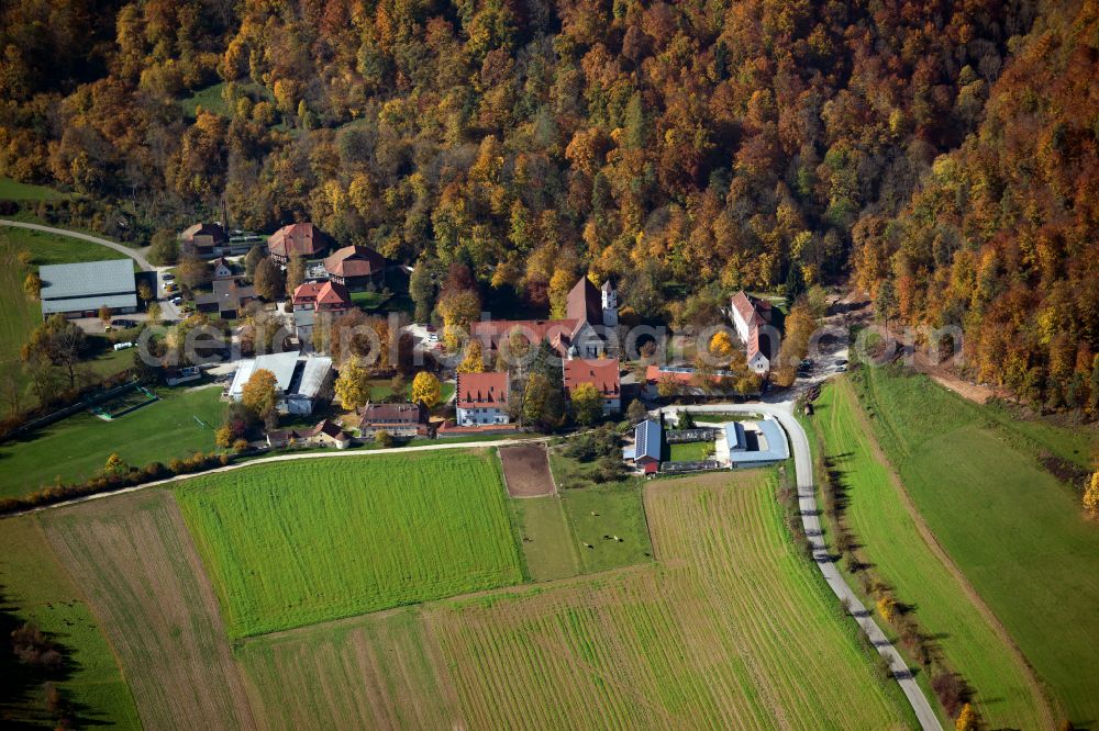 Schelklingen from the bird's eye view: Forest areas in in Schelklingen in the state Baden-Wuerttemberg, Germany